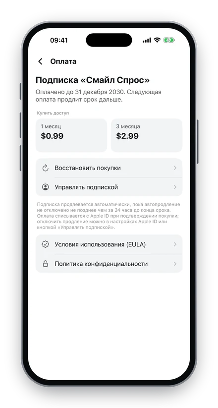 Смайл Спрос — Подписка